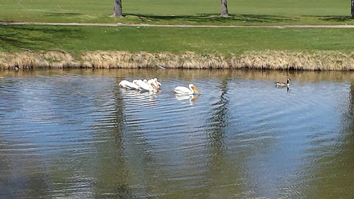 Golf Club «Golf Club At Heather Ridge», reviews and photos, 13521 E Iliff Ave, Aurora, CO 80014, USA