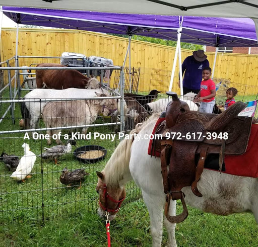 Zoo «A One of A Kind Pony Party», reviews and photos, 912 Bells Chapel Cir, Waxahachie, TX 75165, USA