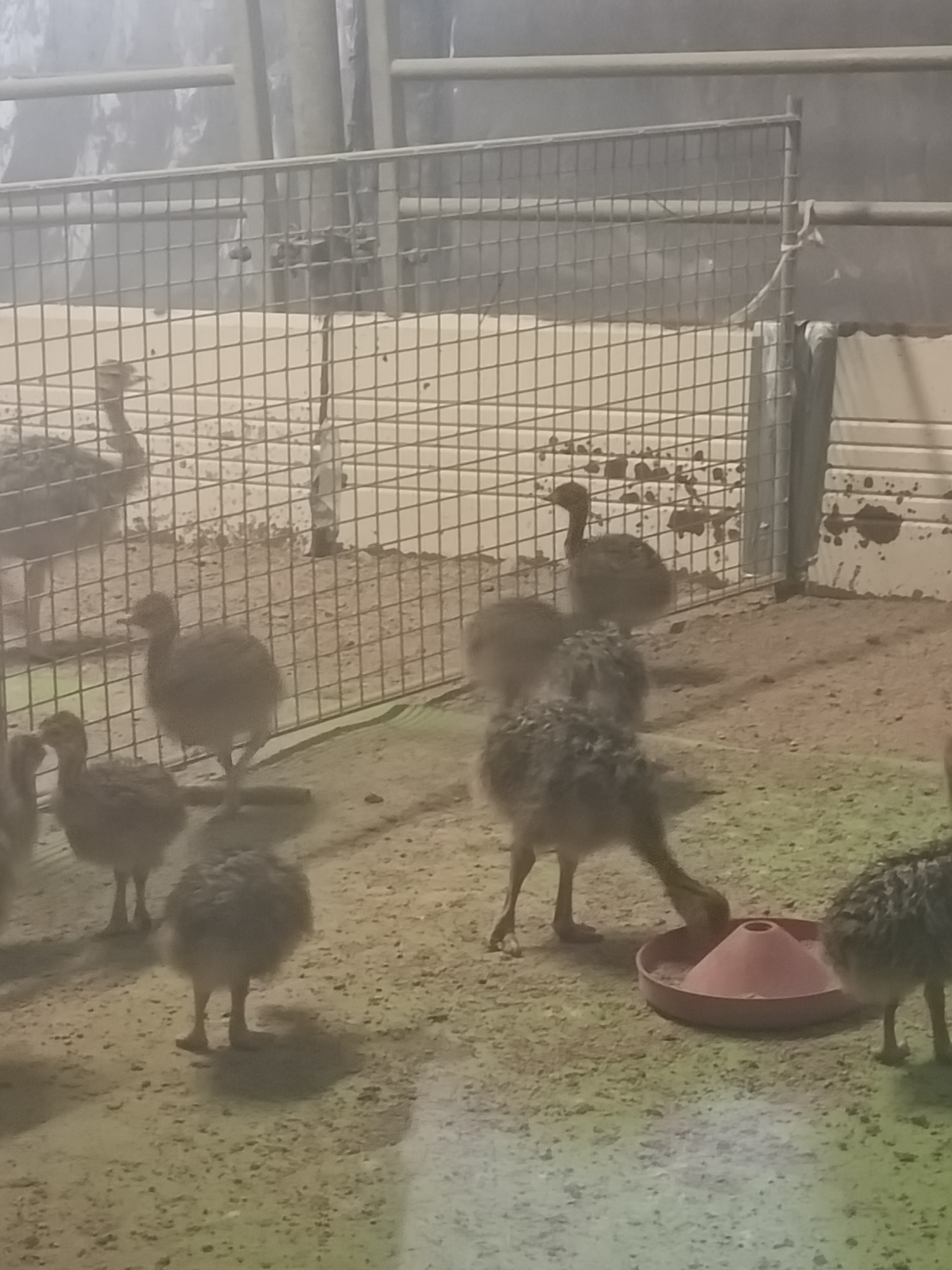 Photo n° 2 de l'avis de Evelyne.r fait le 13/04/2023 à 15:43