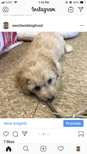 Pet Supply Store «Westland Dog Food Co Inc», reviews and photos, 37687 Ford Rd, Westland, MI 48185, USA