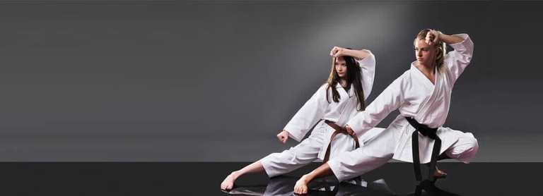 American Martial Arts Systems