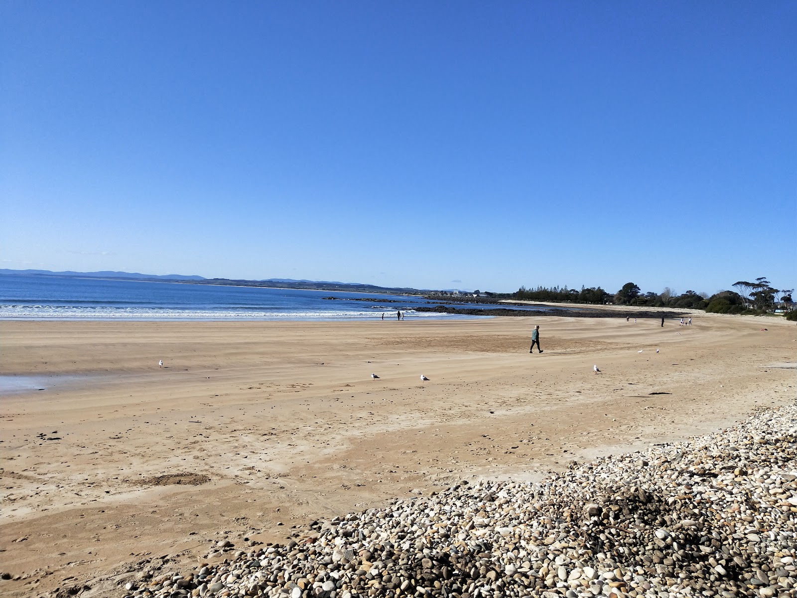 Photo de Bluff Beach avec plage sans baie