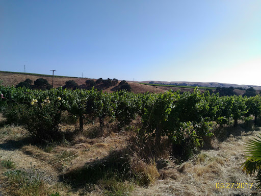 Winery «White Crane Winery», reviews and photos, 5405 Greenville Rd, Livermore, CA 94550, USA