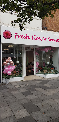 Fresh Flower Scent | Florist | Plymouth