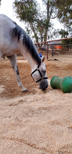 Equestrian facility Carlsbad