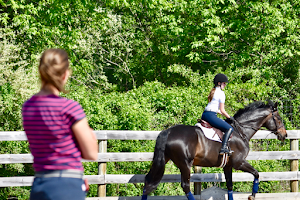 West Lane Riding image