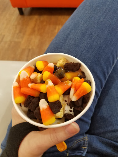 Frozen Yogurt Shop «Orange Leaf Frozen Yogurt», reviews and photos, 4866 1st Ave NE, Cedar Rapids, IA 52402, USA