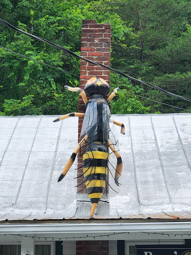 Grocery Store «Natural Bridge General Store», reviews and photos, 593 Wert Faulkner Hwy, Natural Bridge Station, VA 24579, USA