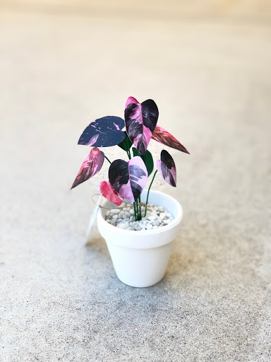 PlanterSam image