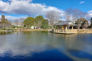 Okanogo Ryokuchi Park image