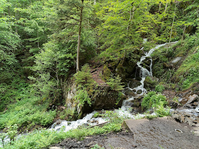 Parcours de santé à Le Hohwald