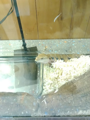 Pet Supply Store «PetSmart», reviews and photos, 211 W Alexander St A, Plant City, FL 33563, USA