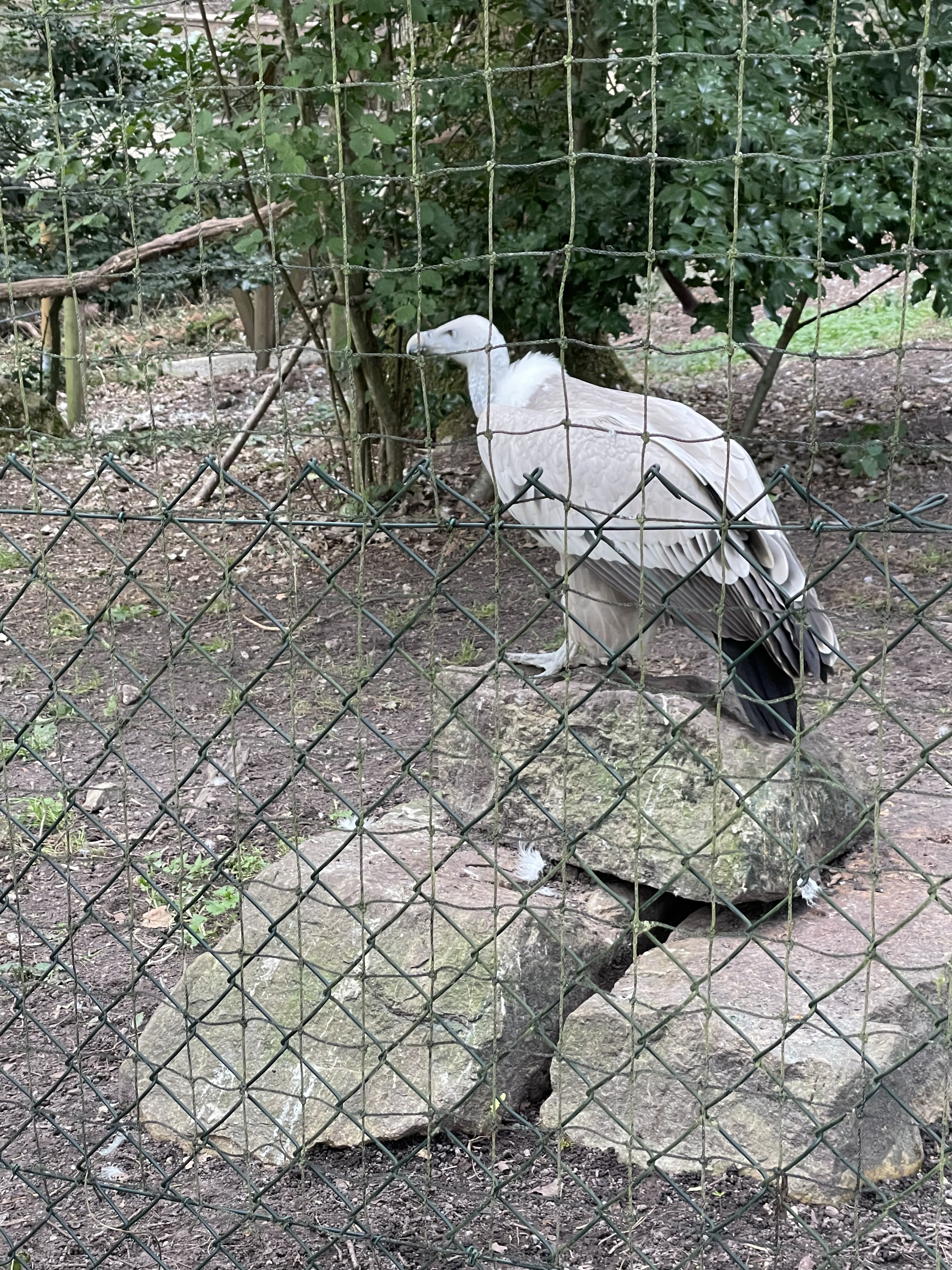 Photo n° 11 de l'avis de joel.u fait le 22/09/2021 à 14:33