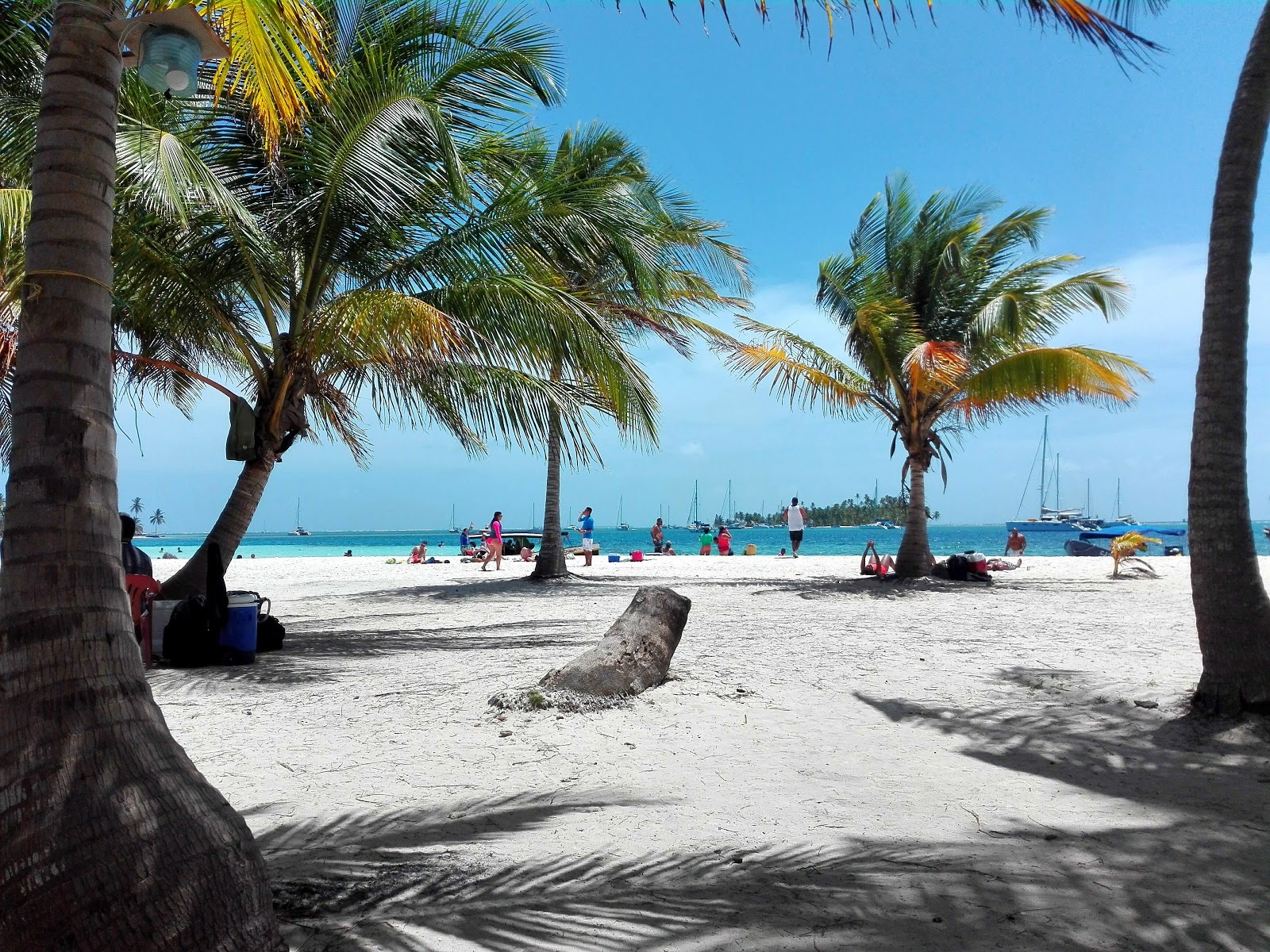 Foto de Praia da Ilha da Needle com alto nível de limpeza