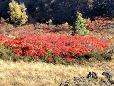 La Hoya San 50260 Morata de Jalón, Zaragoza, España