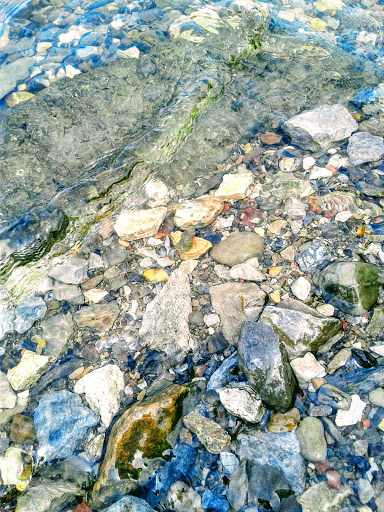 Park «Quiet Cove Riverfront Park», reviews and photos, 1 Clear Water Dr, Poughkeepsie, NY 12601, USA