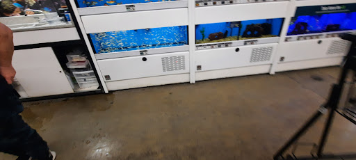 Pet Supply Store «Petco Animal Supplies», reviews and photos, 1419 Towne Square Blvd NW, Roanoke, VA 24019, USA