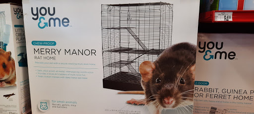 Pet Supply Store «Petco Animal Supplies», reviews and photos, 4401 Transit Rd #600, Williamsville, NY 14221, USA