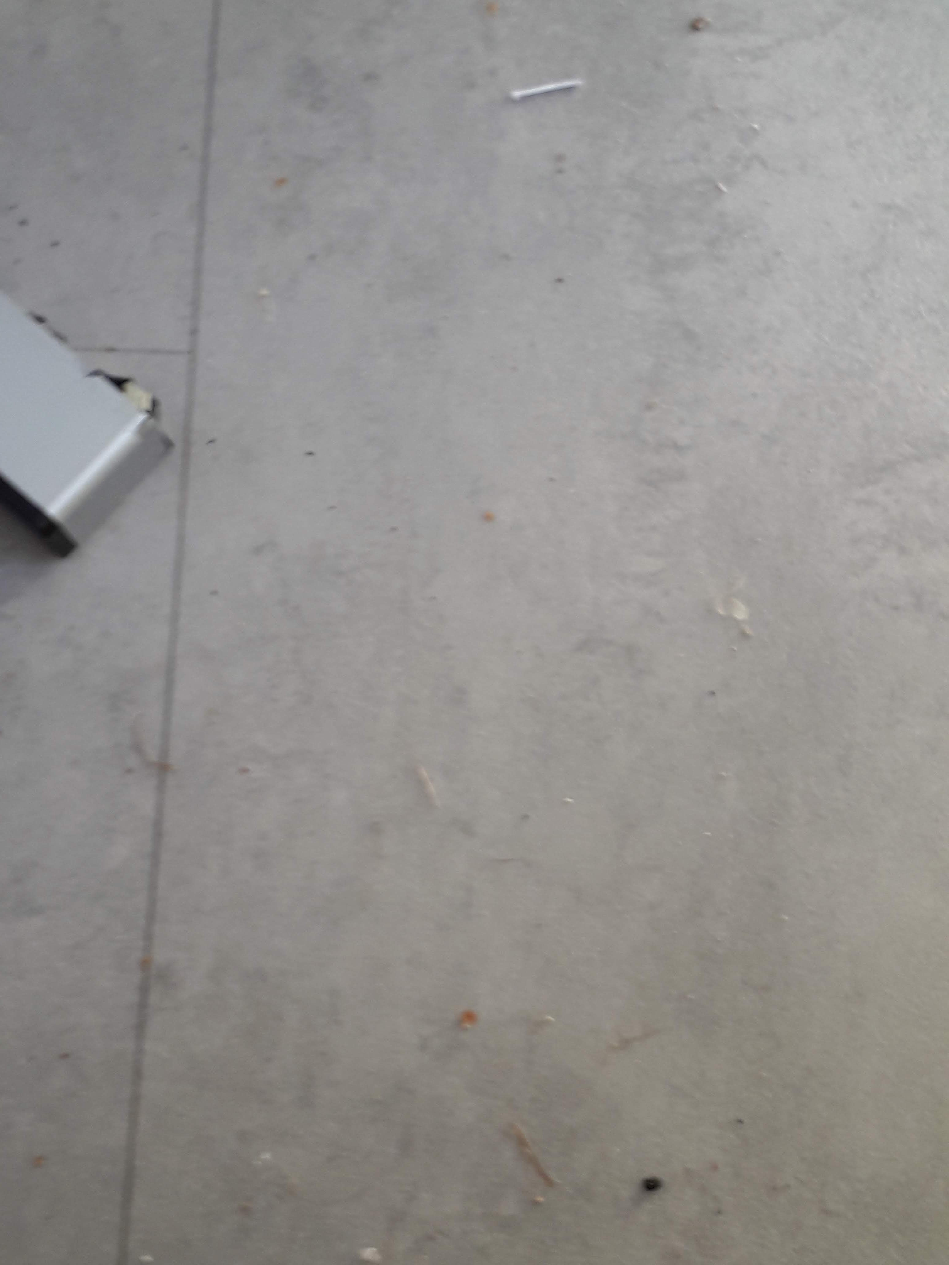 Photo n° 6 de l'avis de Dominique.a fait le 17/08/2020 à 09:50
