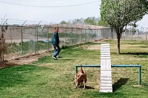 Bark Park image