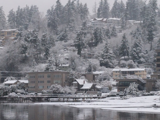 Park «Juanita Beach Park», reviews and photos, 9703 NE Juanita Dr, Kirkland, WA 98034, USA