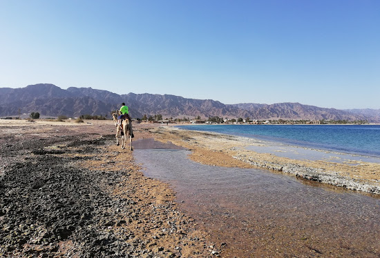 Nuweiba beach