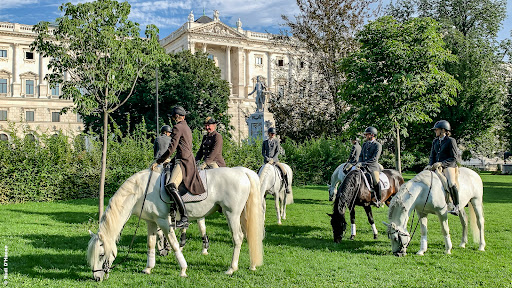 Horse riding in Vienna