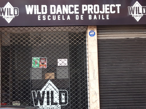 WILD DANCE PROJECT