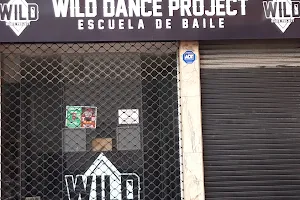 WILD DANCE PROJECT image
