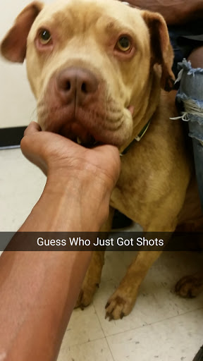 Pet Supply Store «PetSmart», reviews and photos, 6251 N Davis Hwy, Pensacola, FL 32504, USA