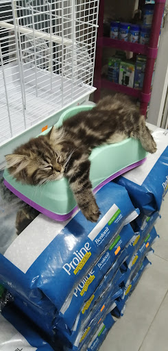 Ambarlı Petshop | Avcılar İstanbul - Akvaryum