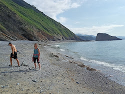 Foto von Playa de Penadoria wilde gegend