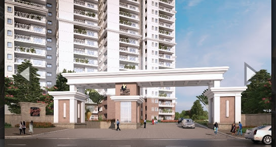 Google Maps image 10