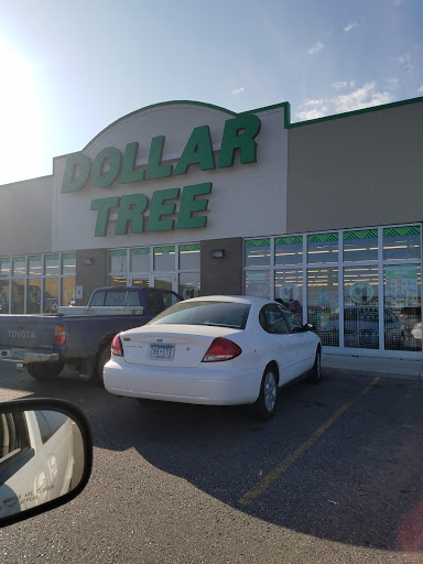 Dollar Store «Dollar Tree», reviews and photos, 601 34th St N, Dilworth, MN 56529, USA