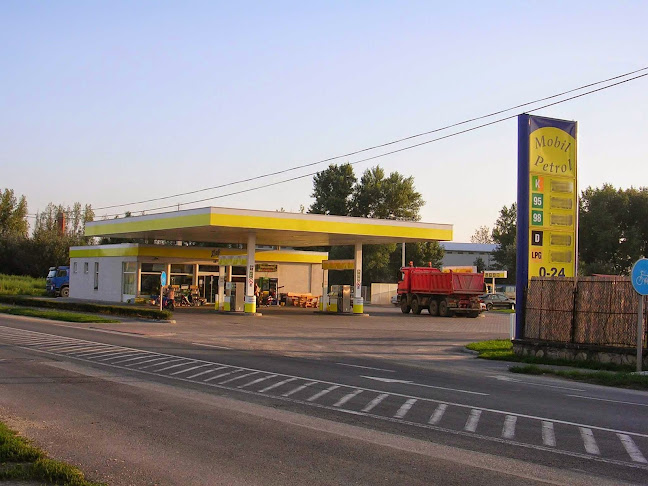 Értékelések erről a helyről: M. Petrol Dunavecs, Dunavecse - Benzinkút