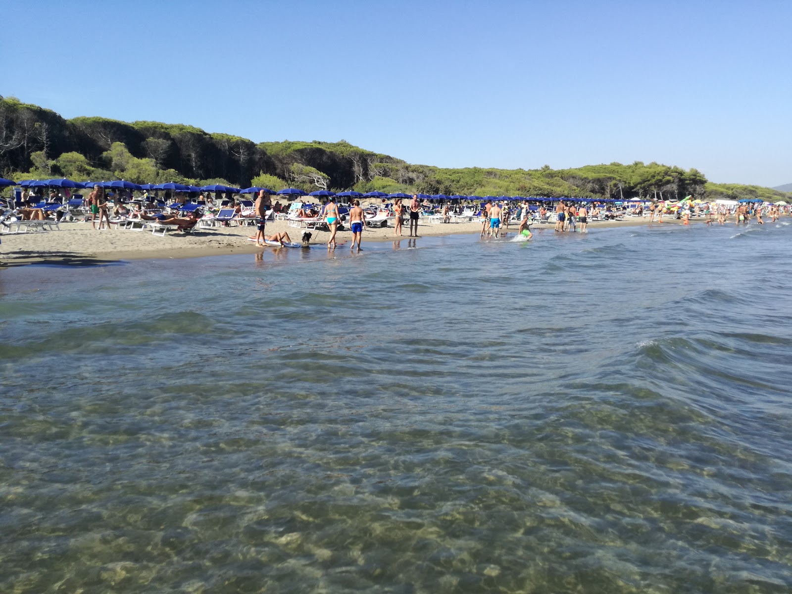 Foto de Spiaggia della Feniglia - recomendado para viajeros en familia con niños