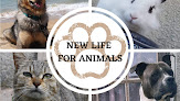New Life For Animals Saint-Georges-d'Oléron