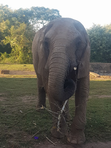 Solomon Lar Amusement Park, Domkat Bali Rd, Jos, Nigeria, Zoo, state Plateau
