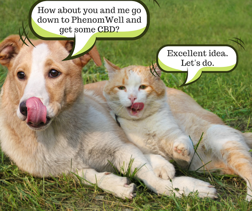 PhenomWell CBD Store