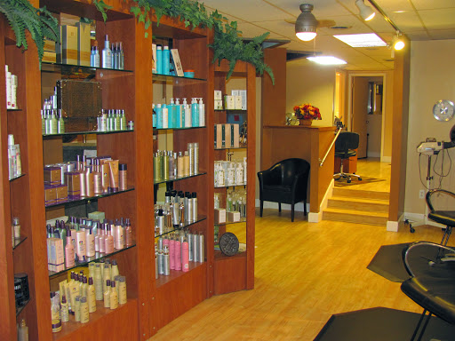 Hair Salon «Shine Salon Inc.», reviews and photos, 209 W Main St, Brighton, MI 48116, USA