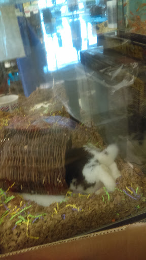 Pet Supply Store «Pet Supplies Plus», reviews and photos, 2155 Delaware Ave, Buffalo, NY 14216, USA