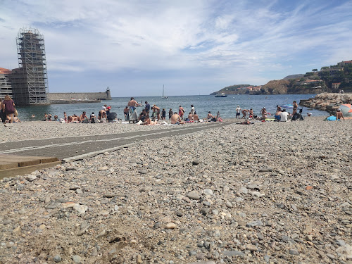 Roussillon Croisières : Promenade en mer au départ de Collioure à Collioure