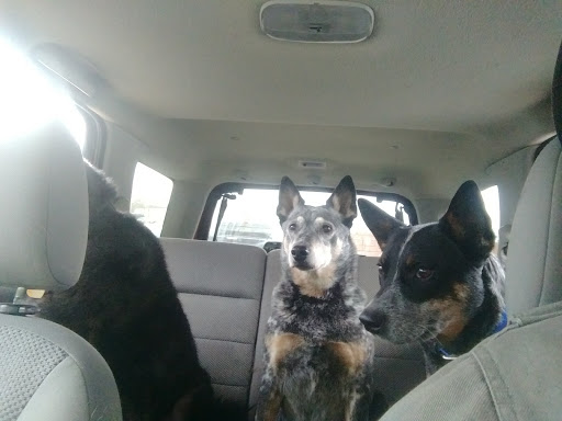 Pet Supply Store «Mounds Pet Food Warehouse», reviews and photos, 2110 S Stoughton Rd, Madison, WI 53716, USA