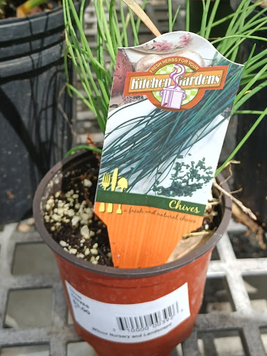 Plant Nursery «Wilcox Nursery», reviews and photos, 12501 Indian Rocks Rd, Largo, FL 33774, USA