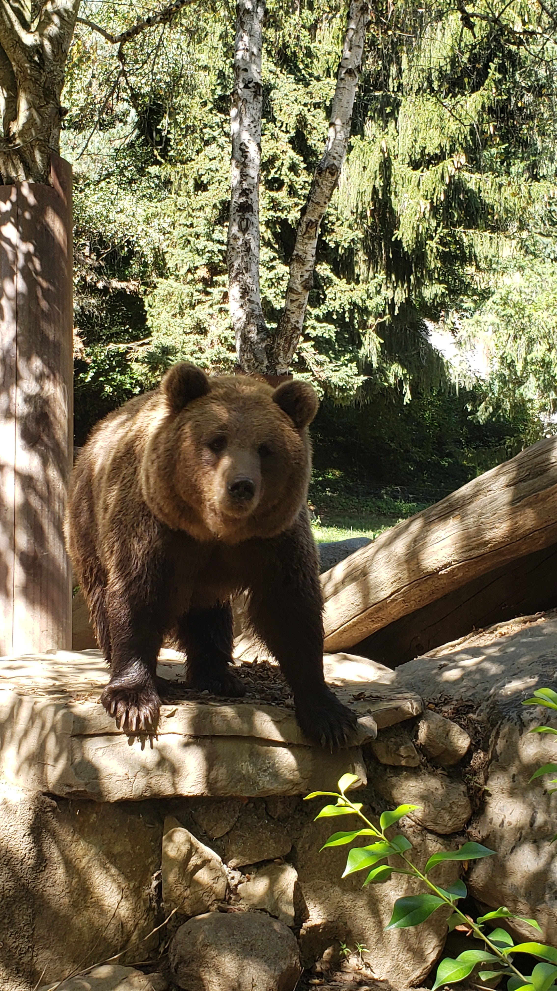 Photo n° 2 de l'avis de Cris.9 fait le 05/10/2023 à 13:30