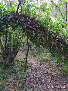 Villa San Giovanni in Tuscia 01010 Villa San Giovanni in Tuscia VT, Italia