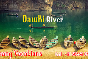 Disang Vacations image