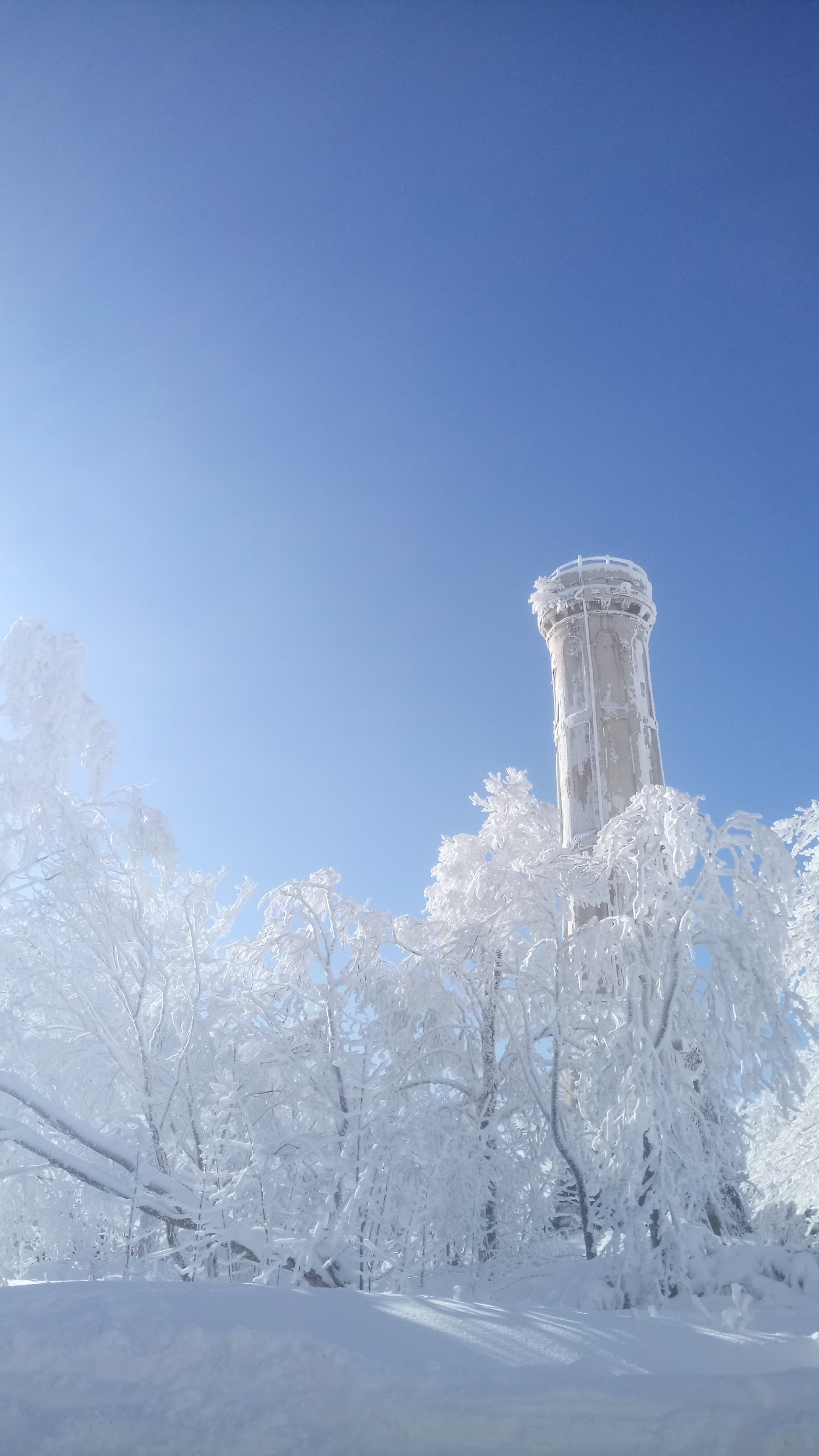 Photo n° 3 de l'avis de Ellen.e fait le 16/12/2017 à 20:01