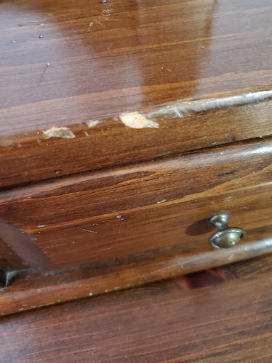 Moving Company «Advance Relocation Systems», reviews and photos, 11500 Crossroads Cir, Baltimore, MD 21220, USA