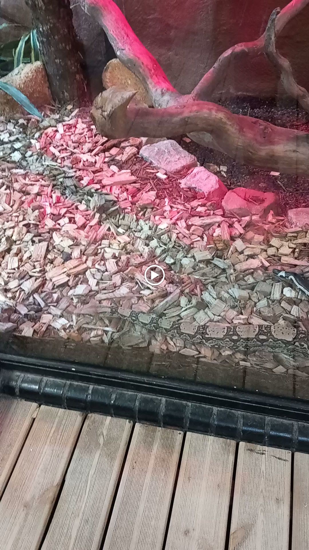 Photo n° 3 de l'avis de Laurent.e fait le 20/09/2023 à 12:16